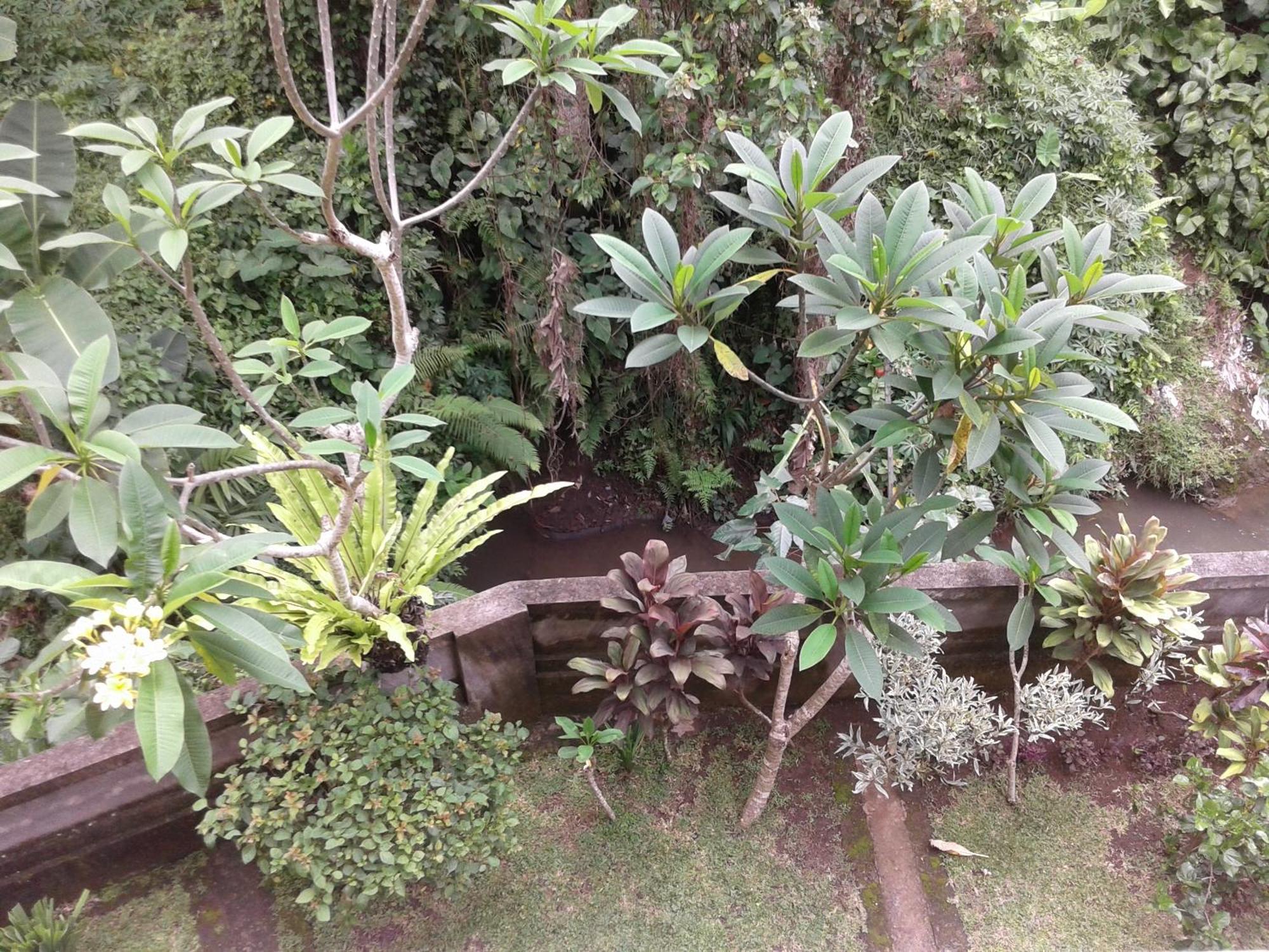 Dewi Ayu Guest house
